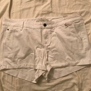 NWT Torrid White Shorts 3.5 in